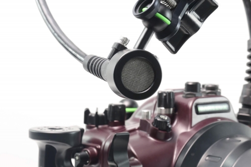 Hydrophone